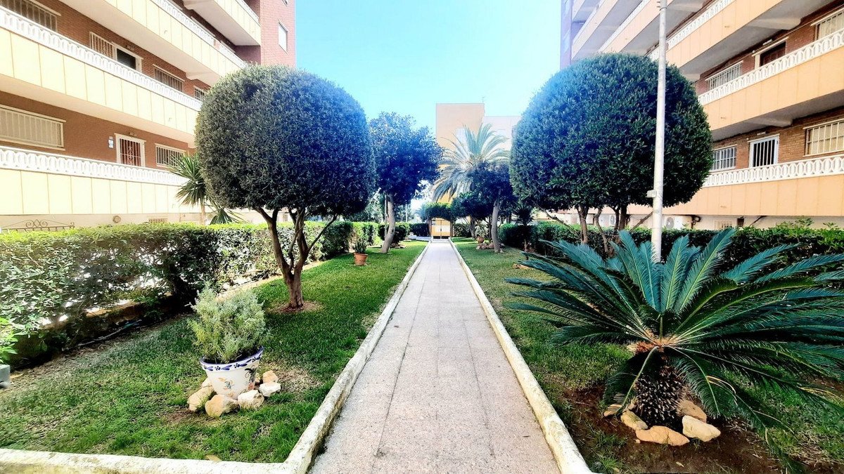 A paved garden path between manicured trees and bushes, with apartment buildings visible in the background.