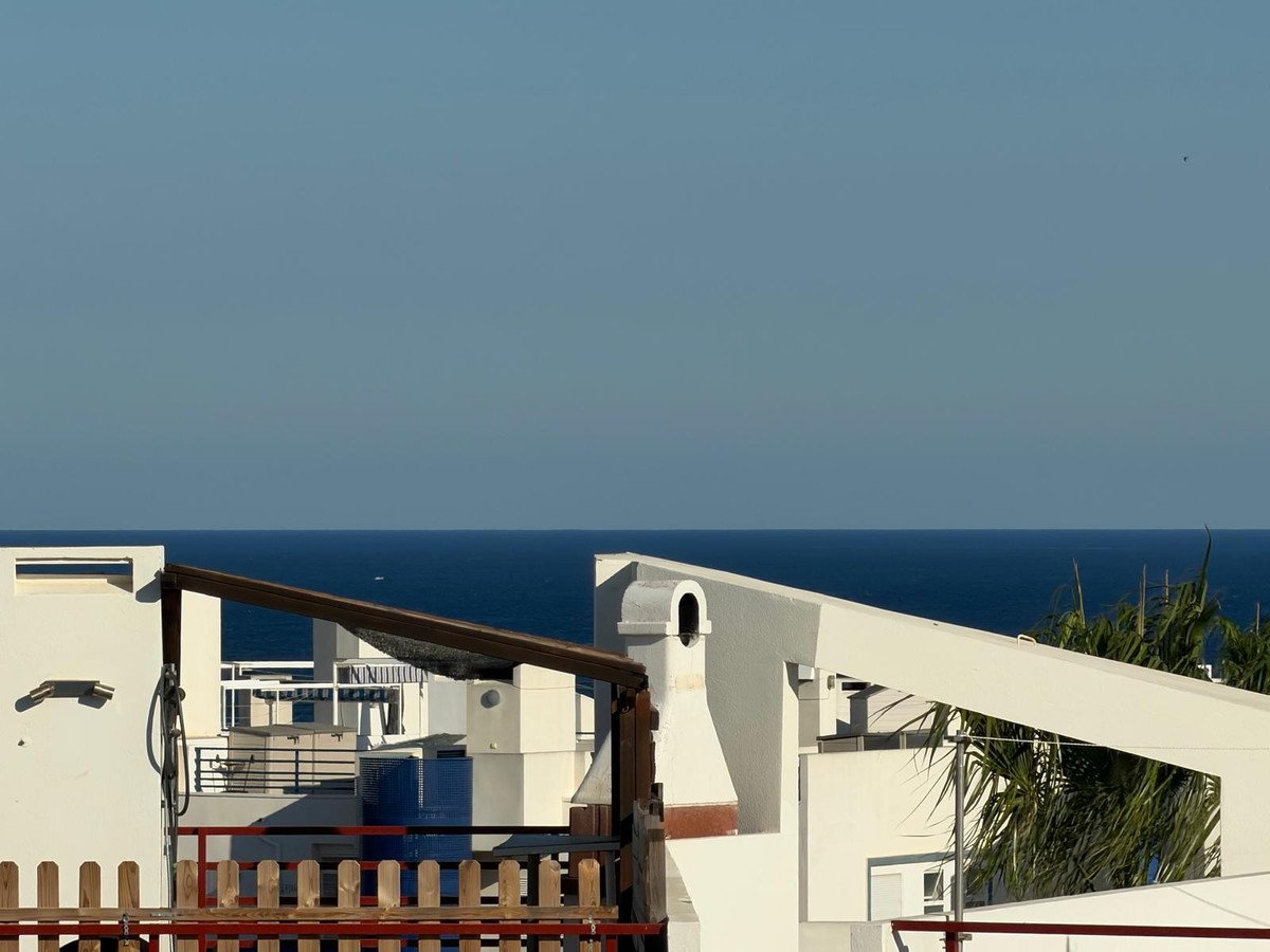 Rooftop view of coastal buildings with ocean in background