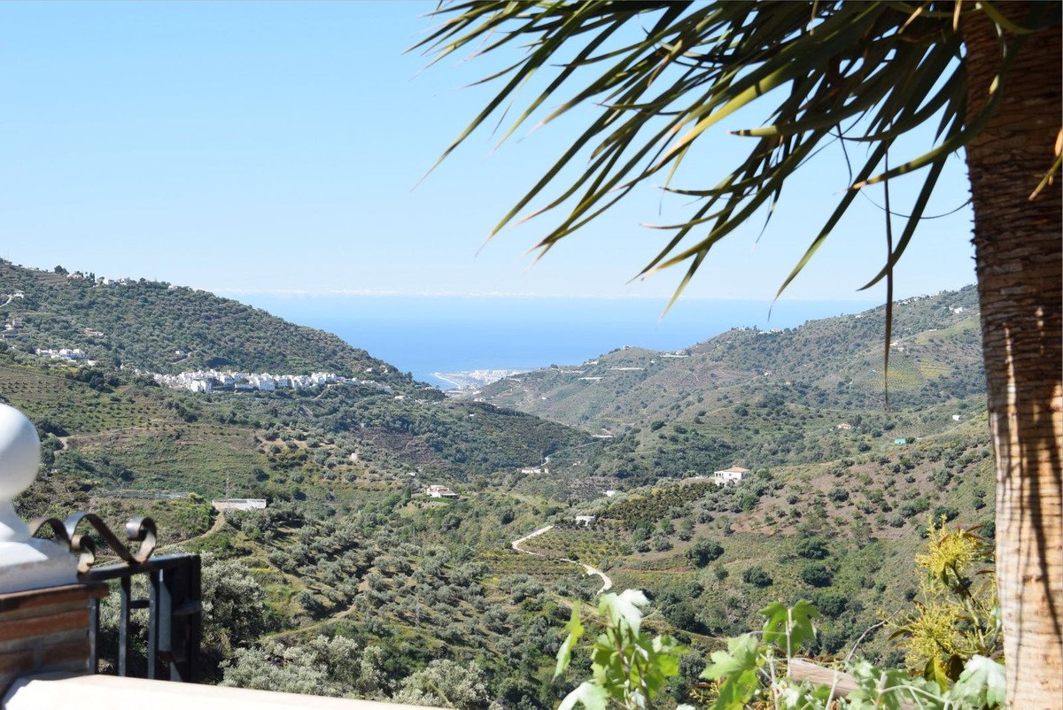 View from a terrace overlooking a valley with olive groves, a white village, and the sea in the distance.