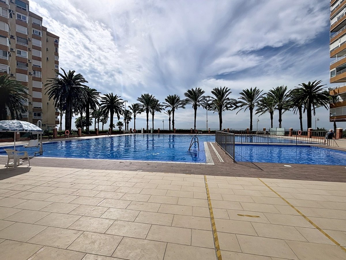 Large communal swimming pool surrounded by palm trees, with apartment buildings and the sea in the background.
