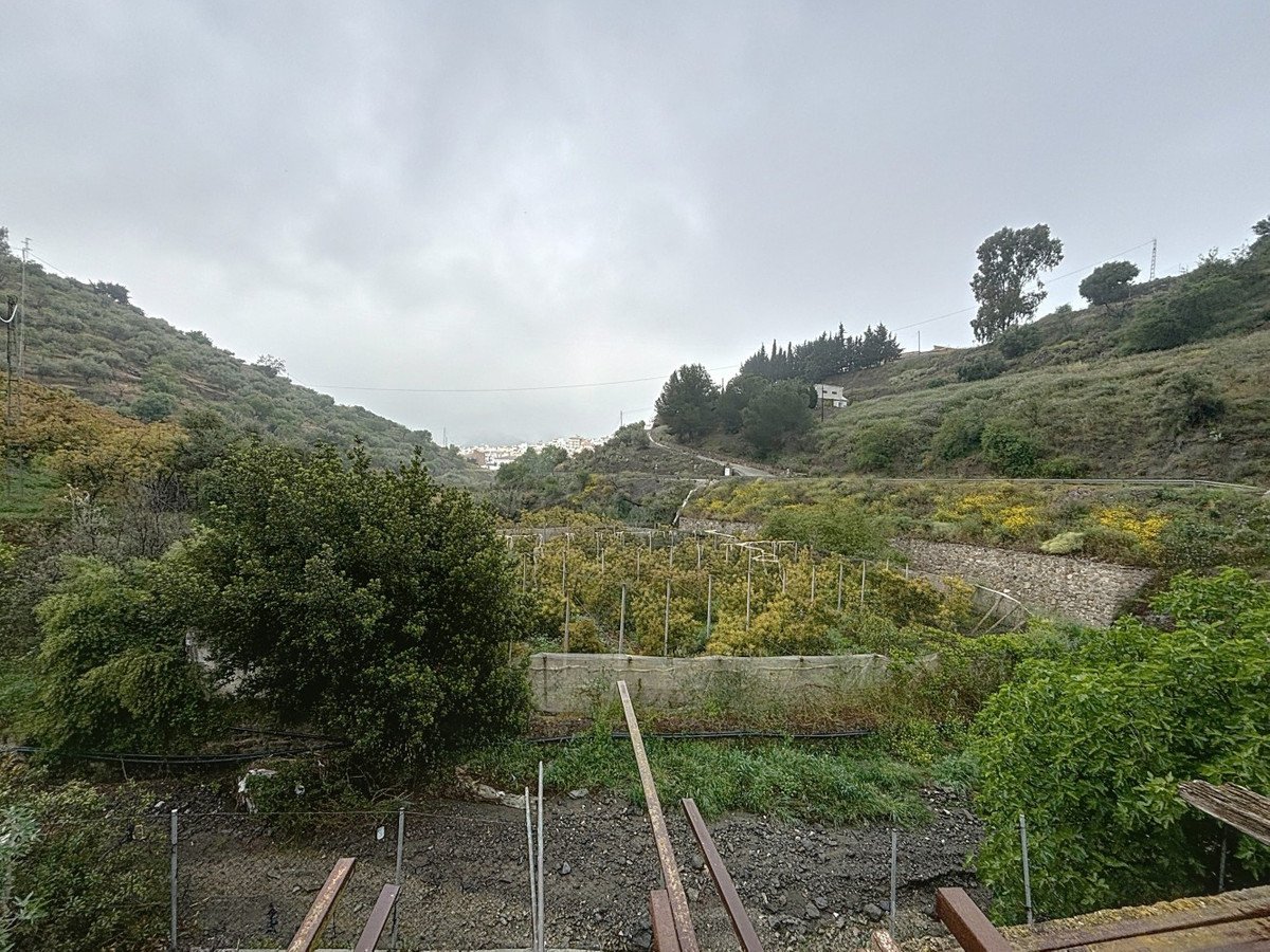 02 photo
