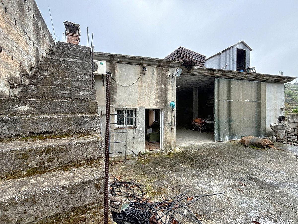 03 photo