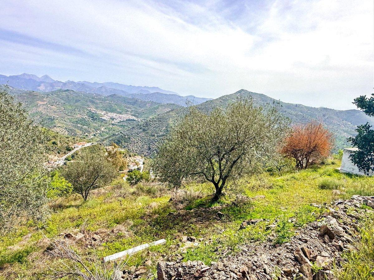 20 photo