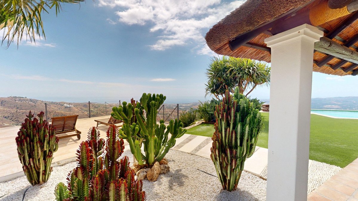 Outdoor patio with exotic cacti, lounge chairs, and a panoramic view of the ocean and rolling hills.