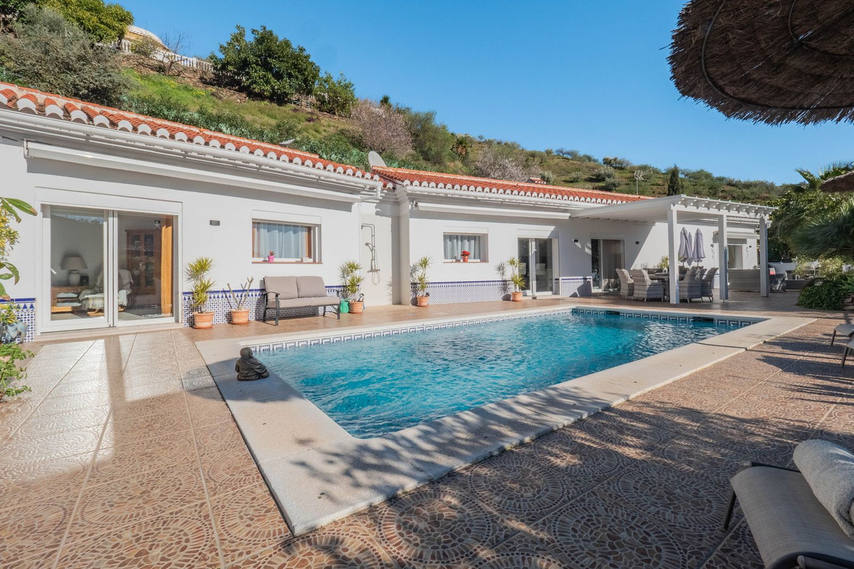 13 photo