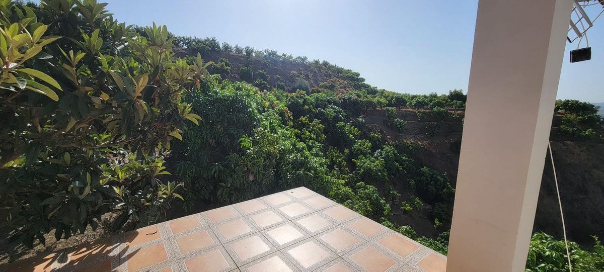 Land in Vélez-Málaga in Vélez-Málaga, Agricultural Estate
