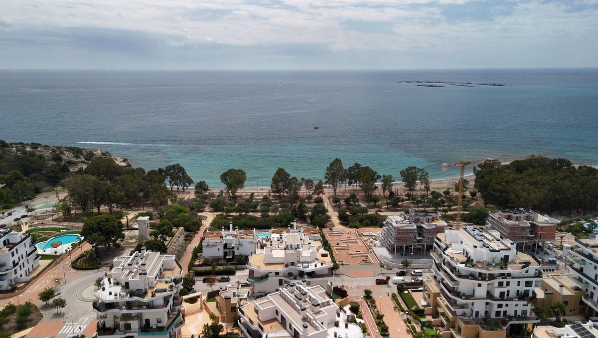 06 photo