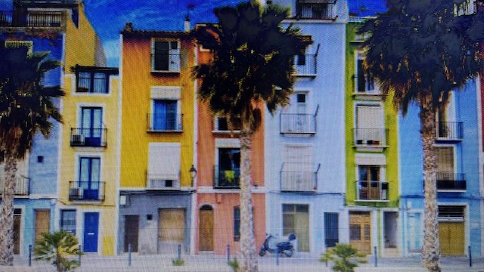 Kleurrijke gebouwen met palmbomen op de voorgrond