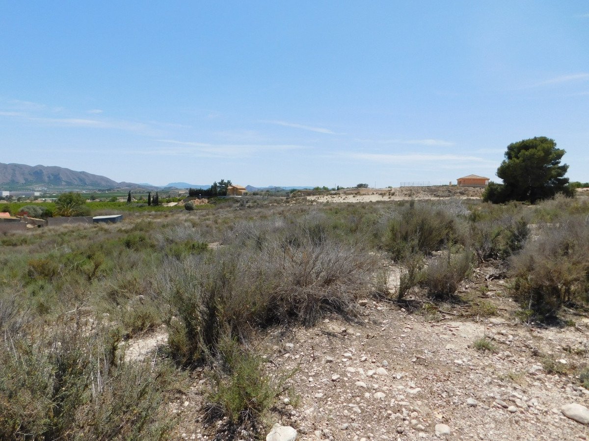 03 photo