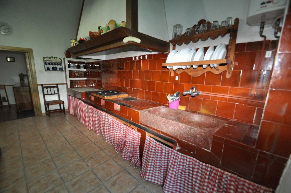 04 photo