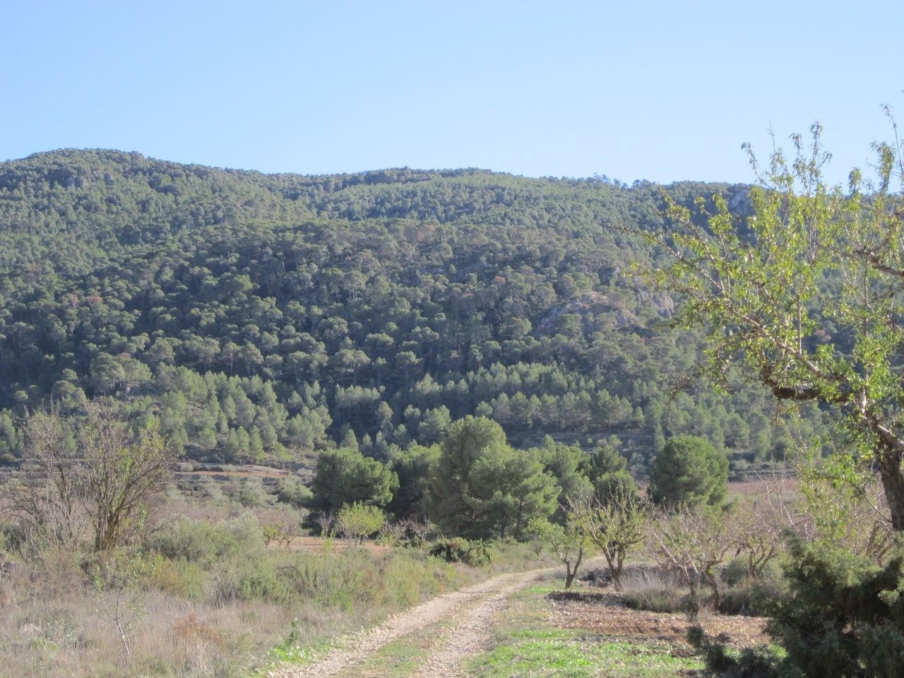 Land in Villena v Villena — Zemljišče