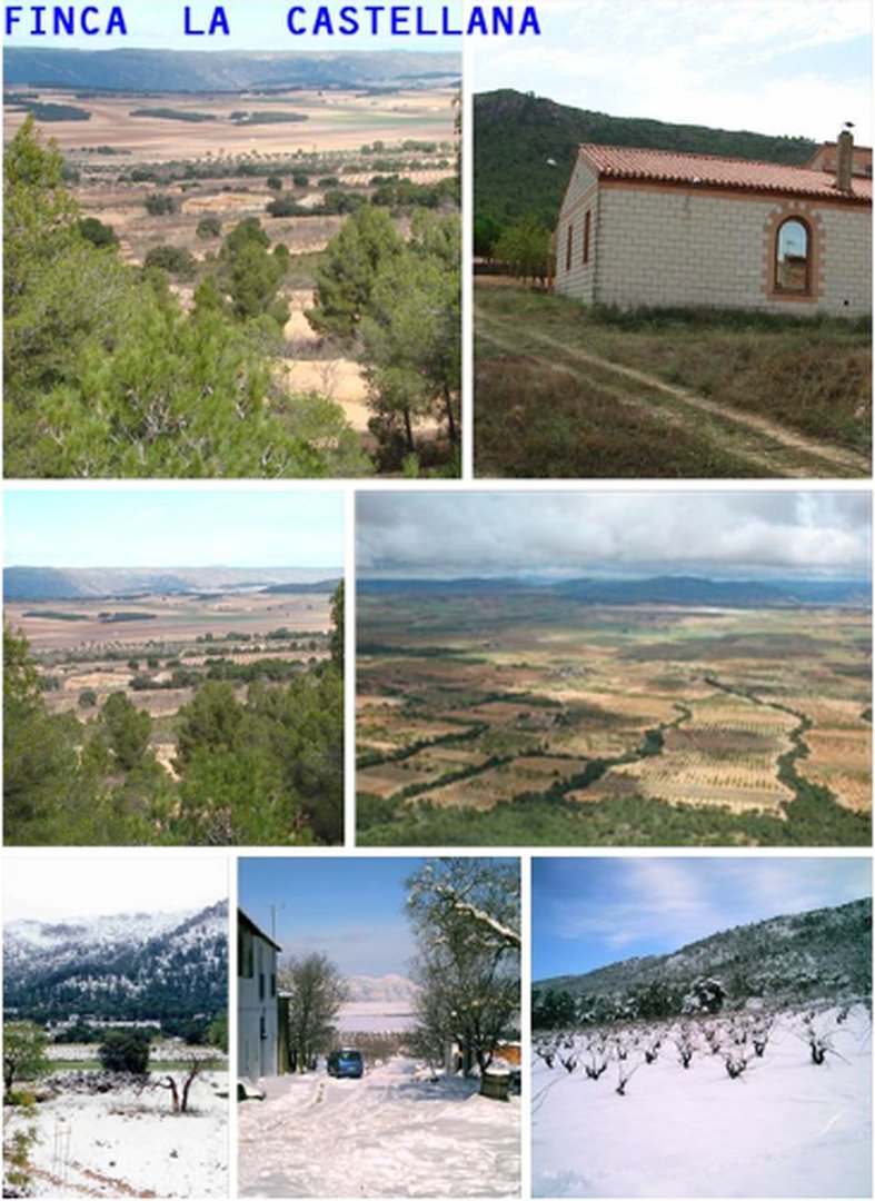 03 photo