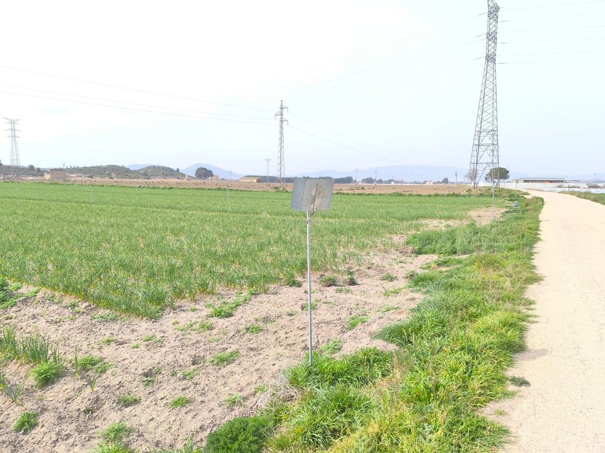 Land in Villena in Villena — Land