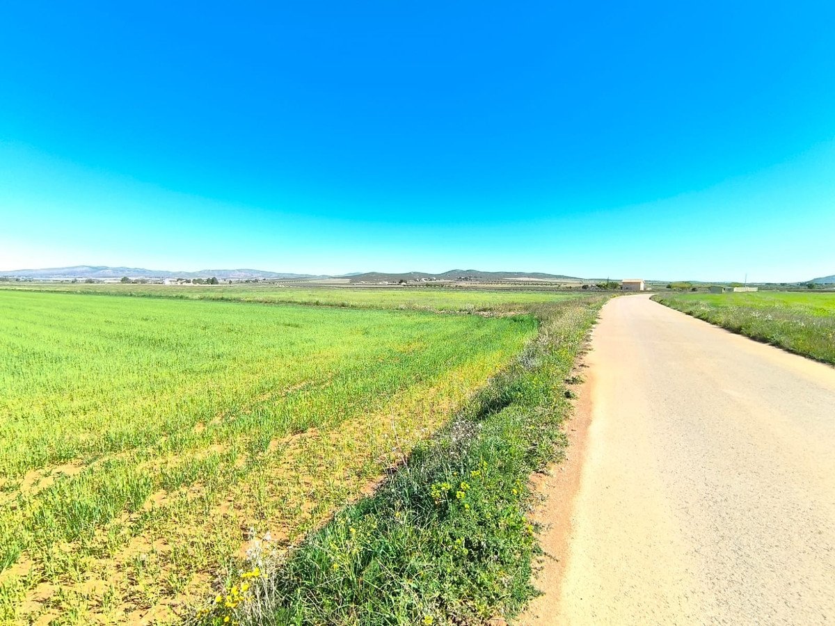 Land in Yecla في Yecla, 